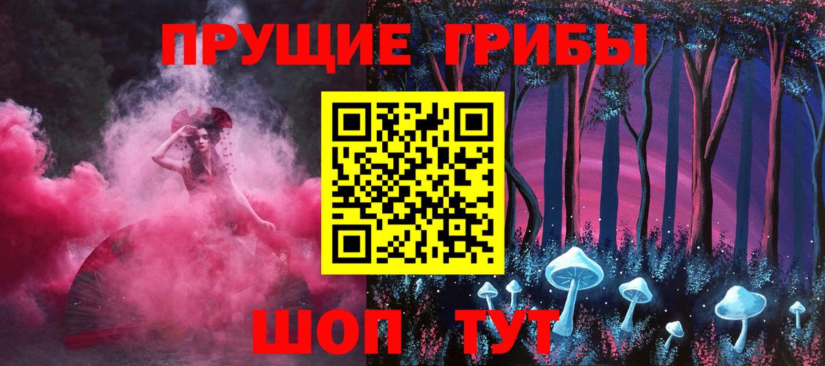 Егорьевск  Псилоцибиновые грибы Psilocybine cubensis  Вход с VPN 