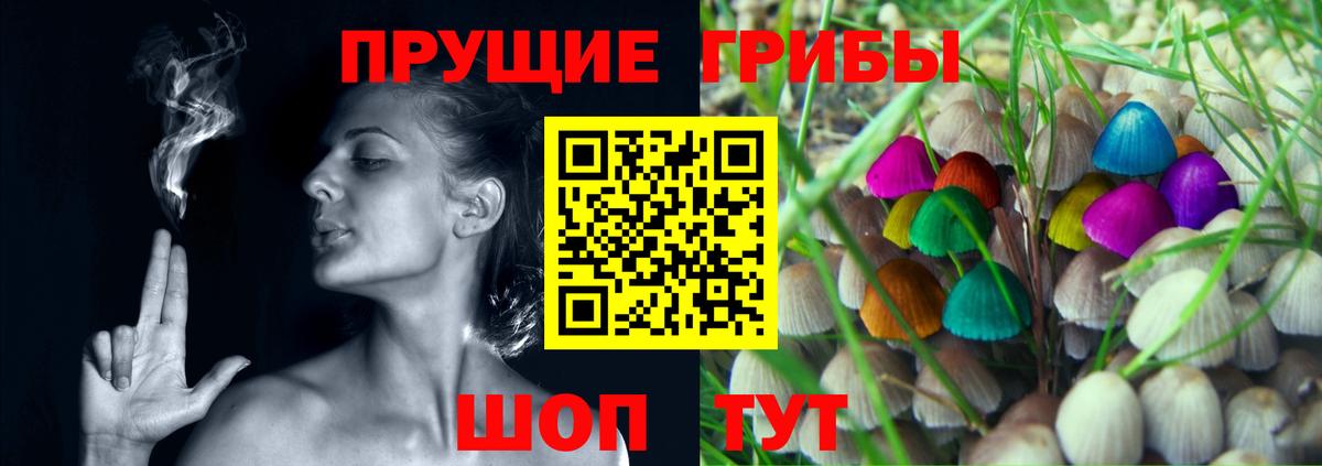 Галлюциногенные грибы GOLDEN TEACHER Егорьевск